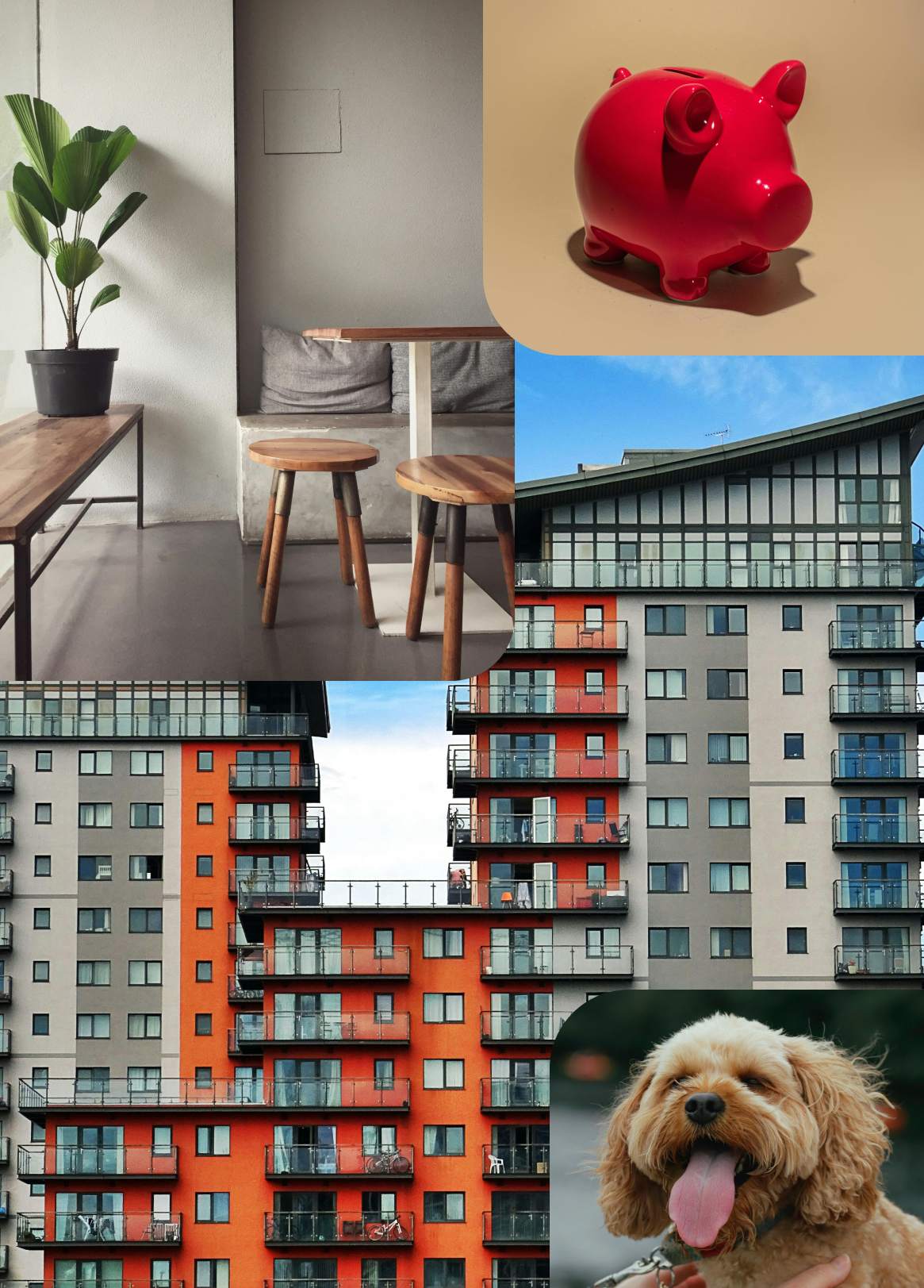 Apartment search process